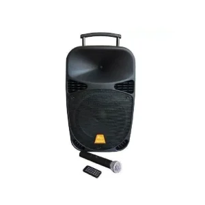 BAFLE ACTIVO 12P BARETONE