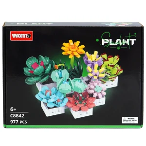 ARMABLE PLANTAS SUCULENTAS